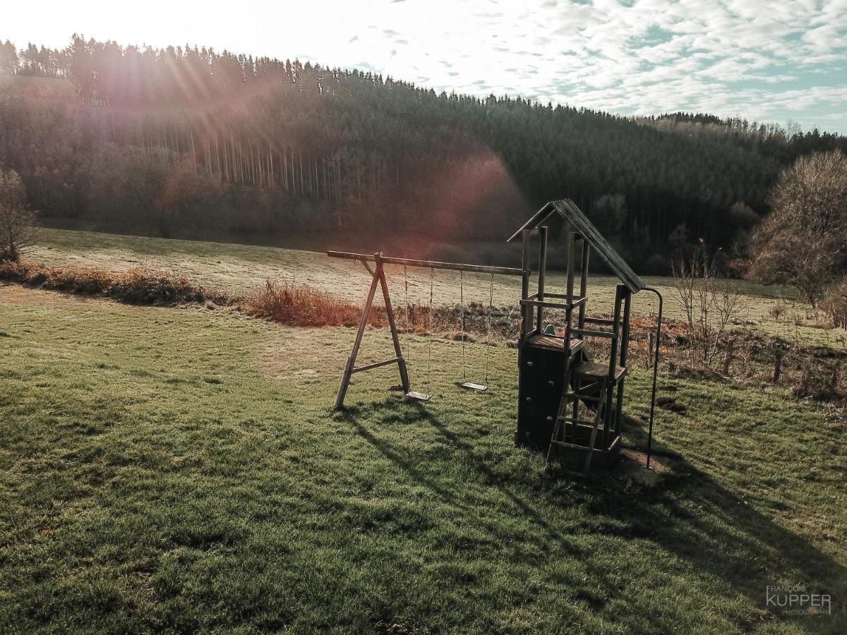 Villa Le Vieux Sanglier - 41 Pers - Malmedy Esterno foto